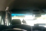 Dolmuşun özel yolcusu