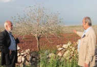 Dolu, fıstık bahçesi ve hububat alanlarını vurdu