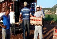 Domates üreticisini 'aracılar' vuruyor