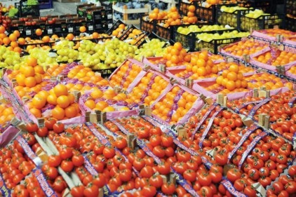Domatesi Belarus&#039;a, kirazı Almanya&#039;ya sattık