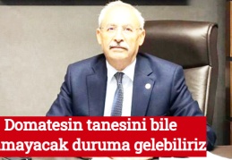 Domatesin tanesini bile alamayacak duruma gelebiliriz