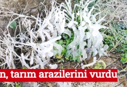Don, tarım arazilerini vurdu