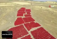 Dondurma şehrinde acı telaş