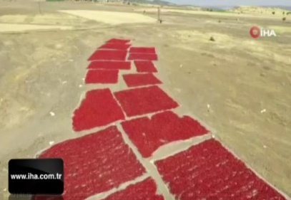 Dondurma şehrinde acı telaş