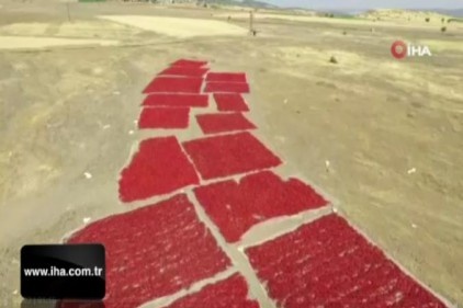Dondurma şehrinde acı telaş
