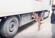 Dorseye gizlenen metamfetamini dedektör köpek Max buldu