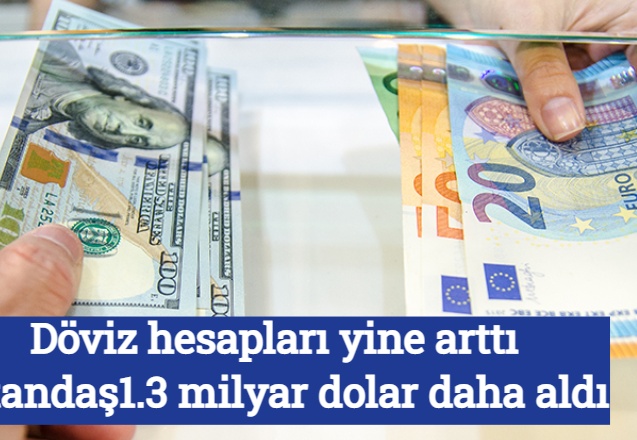 Döviz hesapları yine arttı, vatandaş 1.3 milyar dolar daha aldı
