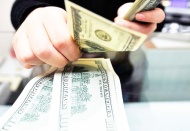 Döviz kurları haftaya yatay seyirle başladı; dolar 13,73