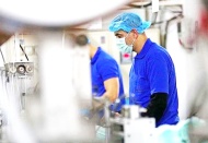 Döviz kurundaki belirsizlik küçük üreticiyi kötü vurdu