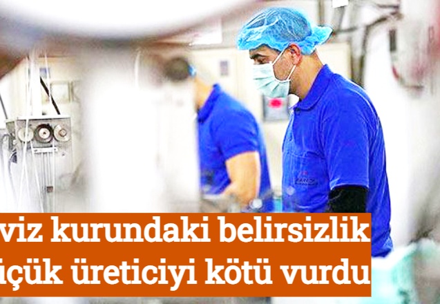 Döviz kurundaki belirsizlik küçük üreticiyi kötü vurdu