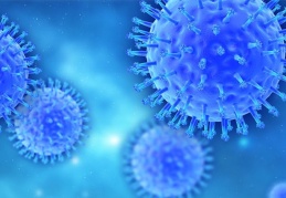 DSÖ’den “maymun çiçeği” uyarısı: 30 ülkede görüldü