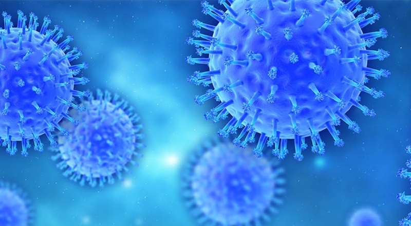 DSÖ’den “maymun çiçeği” uyarısı: 30 ülkede görüldü