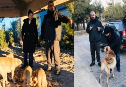 Dülük Baba Ormanı’nda sahipsiz köpekleri besliyor