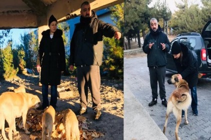Dülük Baba Ormanı&#8217;nda sahipsiz köpekleri besliyor