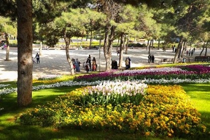 Dülük rengarenk çiçeklerle bezendi