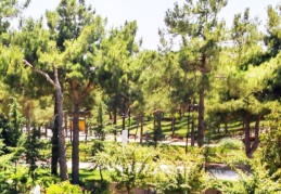 Dülük Tabiat Parkı’na giriş-çıkışlar ücretsiz