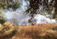 Dülükbaba ormanlarındaki yangın kontrol altına alındı