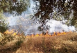 Dülükbaba ormanlarındaki yangın kontrol altına alındı
