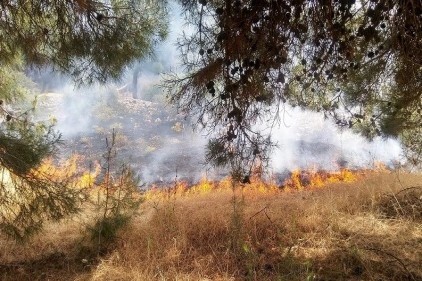 Dülükbaba ormanlarındaki yangın kontrol altına alındı