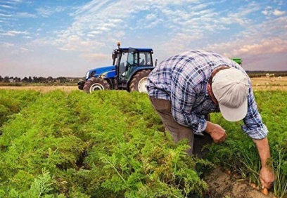 Dünya Bankası, Türkiye'ye 341 milyon dolarlık tarım kredisi verecek