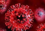 Dünya çapındaki toplam vaka sayısı 35 milyonun üzerine çıktı