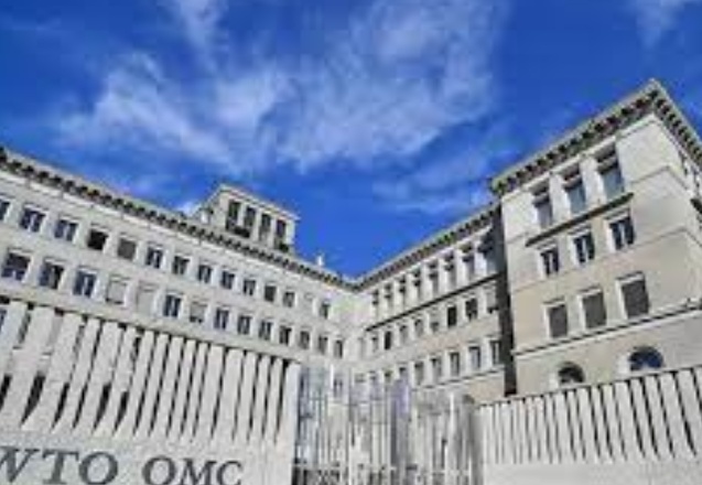 Dünya Ticaret Örgütü’nden Ukrayna mallarının ihracatına destek sözü