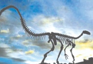 Dünyada 2.5 milyar T-rex dinozor türü yaşamış olabilir