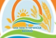 Dünyada görülen kuş gribi vakaları üzerine harekete geçildi