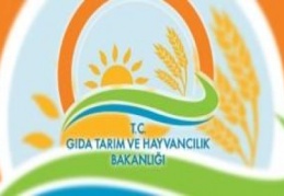 Dünyada görülen kuş gribi vakaları üzerine harekete geçildi