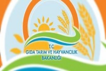 Dünyada görülen kuş gribi vakaları üzerine harekete geçildi