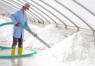 Dünyada nadir bulunan mineral deposu tuz 9 ülkeye ihraç ediliyor