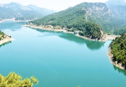 ”Dünyadaki sulak alanların yüzde 50’si yok oldu”