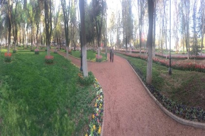 Dünyanın en ilgi çekici-en kıymetli parkı