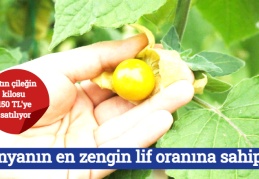 Dünyanın en zengin lif oranına sahip