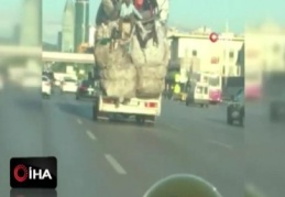 E-5'te kamyon kasasındaki çuval yığınlarının üzerinde tehlikeli yolculuk kamerada