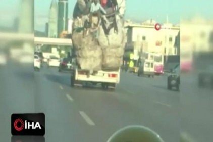 E-5&#039;te kamyon kasasındaki çuval yığınlarının üzerinde tehlikeli yolculuk kamerada