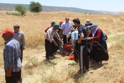 Ecel tarlada yakaladı