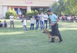 Eğitilen sokak köpeklerinin gösterisi büyük beğeni topladı