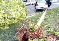 Ehliyetsiz sürücü dehşeti