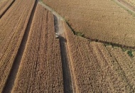 Ekilebilir tüm arazilerin üretime katılması için harekete geçildi