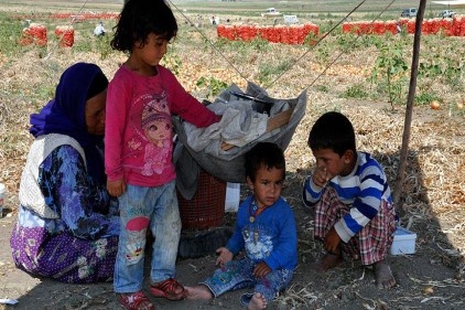 &#039;Ekmek parası&#039; için göçebe hayatı yaşıyorlar 