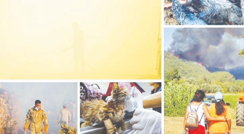 "Ekolojik kaygıyı da bırakın, ekolojik yas tutuyoruz"