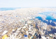 Ekolojik tehlike eşiğini aştı: Denizdeki plastiği yutmayan kalmadı