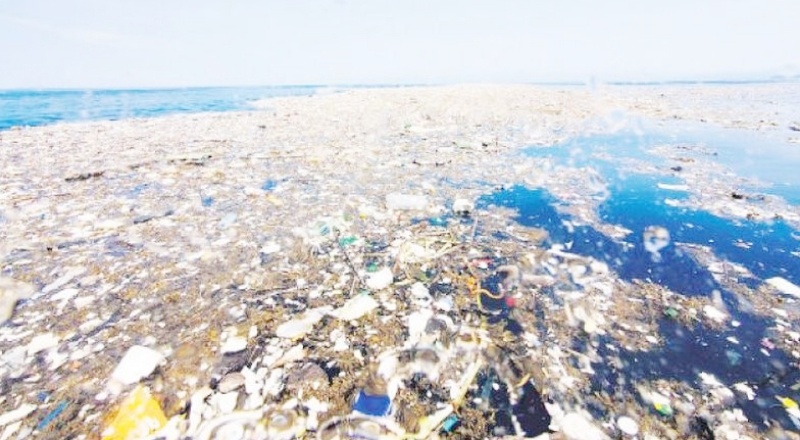 Ekolojik tehlike eşiğini aştı: Denizdeki plastiği yutmayan kalmadı