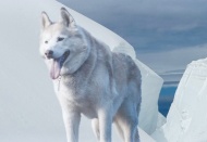 Ekonomi Covid-19 krizinden iki kat fazla küçülecek