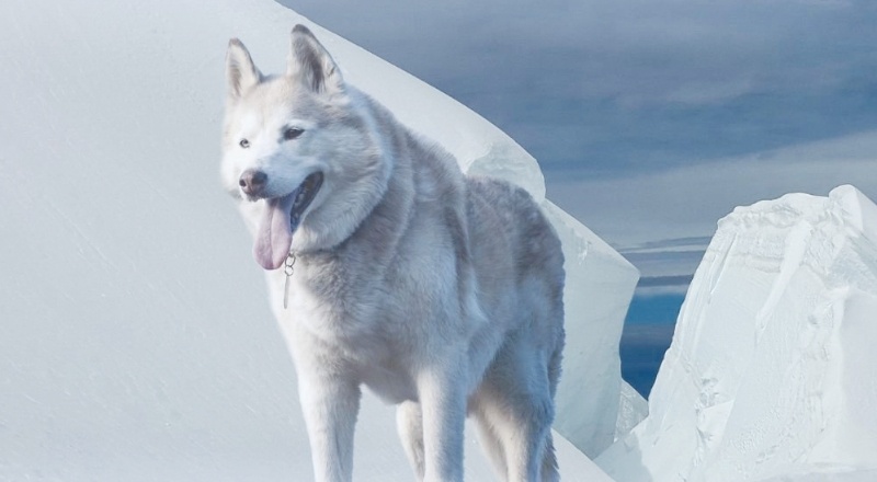 Ekonomi Covid-19 krizinden iki kat fazla küçülecek