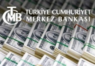 Ekonomist Haluk Bürümçekçi'den yeni iddia: 24,3 milyar dolar daha buhar oldu