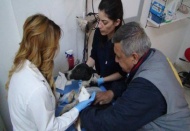 El Bab'da yaralanan sokak köpeği Gaziantep'e getirildi