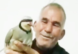 Elektrik akımına kapılan çiftçi hayatını kaybetti