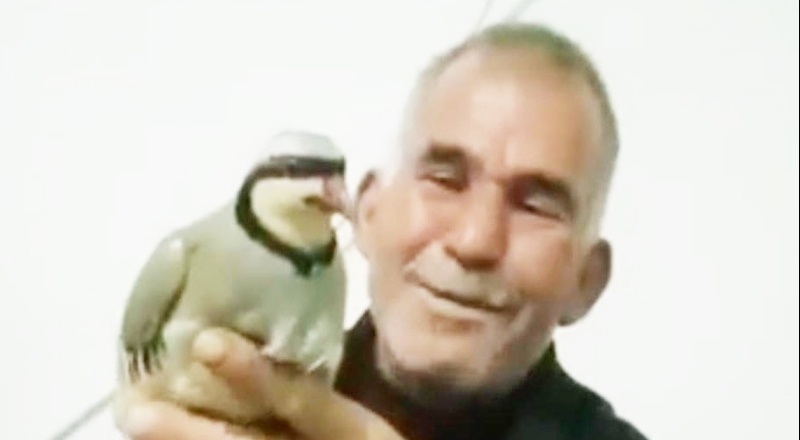 Elektrik akımına kapılan çiftçi hayatını kaybetti